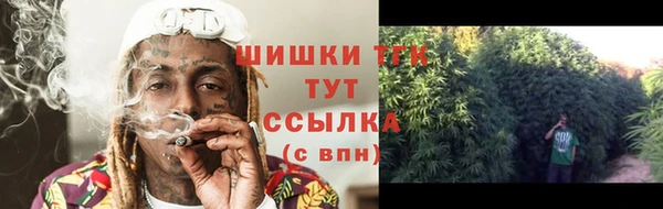 стафф Инта