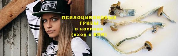 первитин Инсар