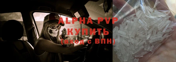 молекула духа Иннополис