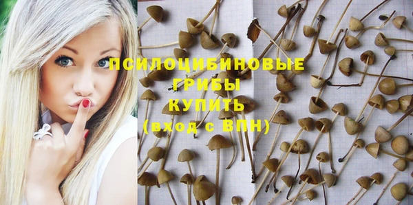 молекула духа Иннополис