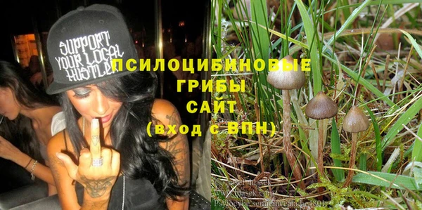первитин Инсар