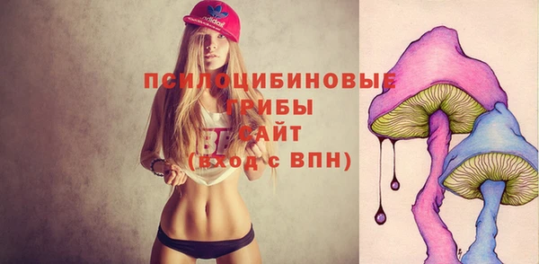 первитин Инсар