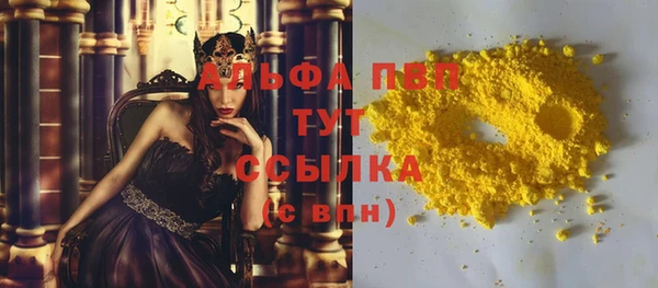 стафф Инта
