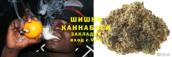 стафф Инта