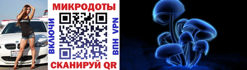 Псилоцибиновые грибы Magic Shrooms  Каменногорск 